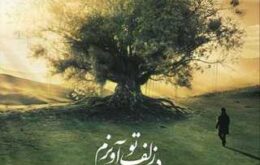 در زُلف تو آویزم