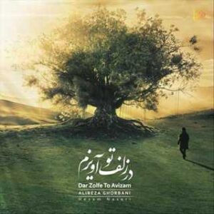 در زُلف تو آویزم